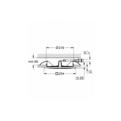 GROHE Rainshower потолочный душ 25/25 см.